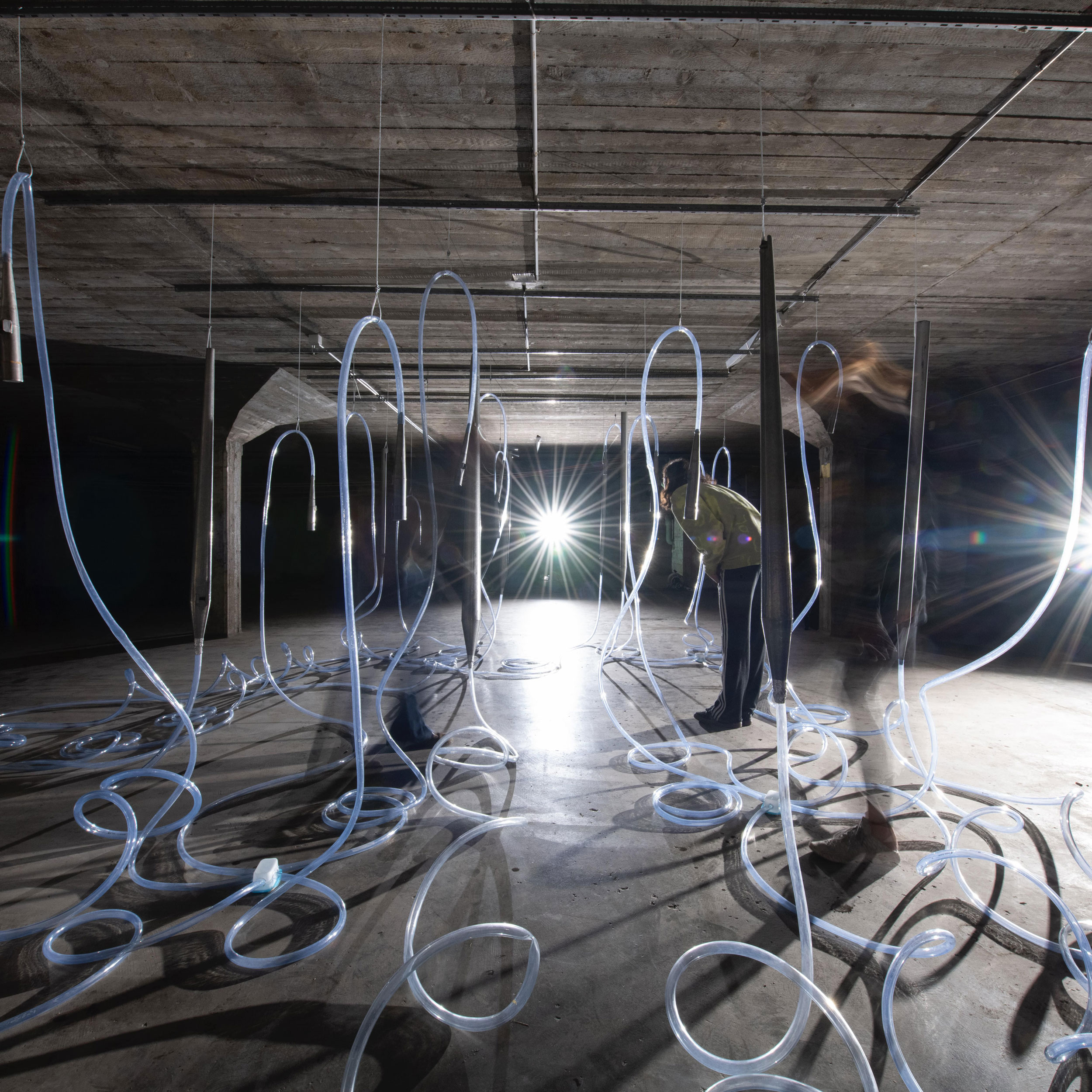 Bild8005 Veranstaltung 11 – “Alienation of an Organ” by Moritz Ryffel